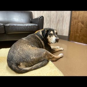 Meet your Posher, Leah